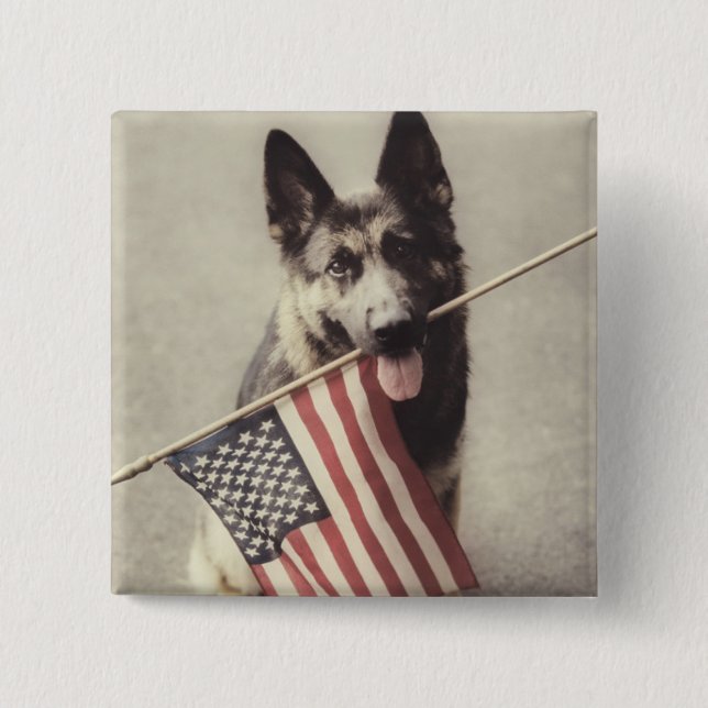 German Shepherd With US Flag Button (Front)