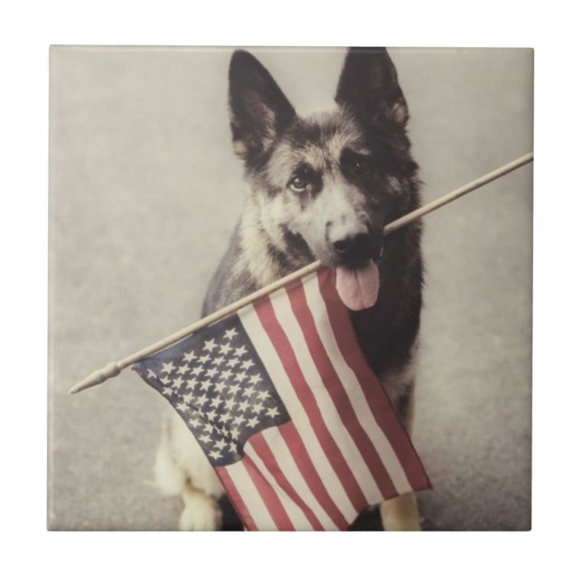 German Shepherd With US Flag Ceramic Tile (Front)