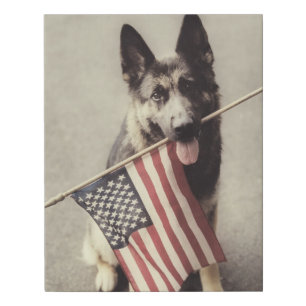 German Shepherd With US Flag Faux Canvas Print