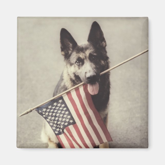 German Shepherd With US Flag Magnet (Front)