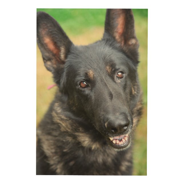 German Shepherd Wood Wall Art (Front)