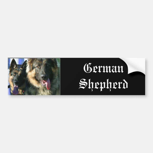 German Shepherds bumper sticker (Front)