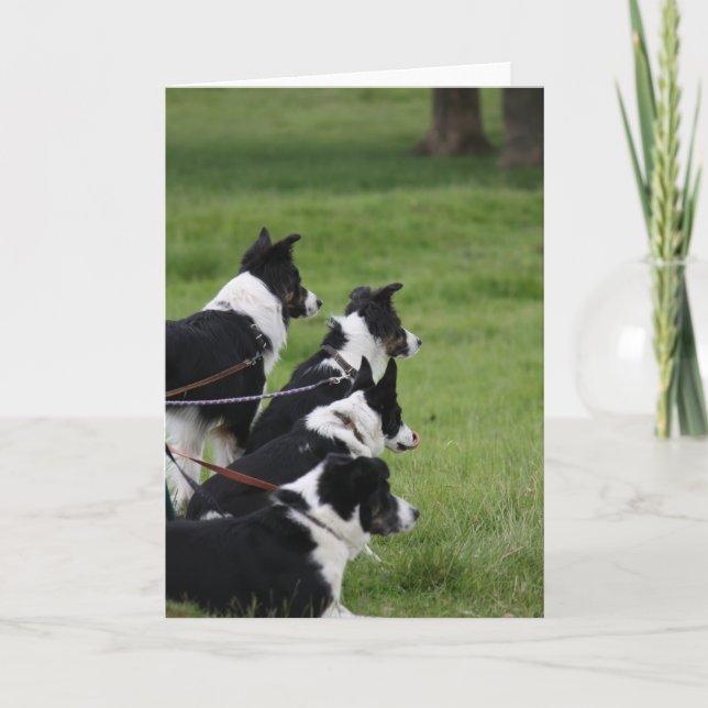 German Shepherds Card (Front)