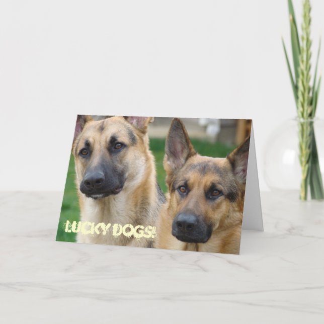 German Shepherds Greeting Cards LUCKY DOGS! (Front)