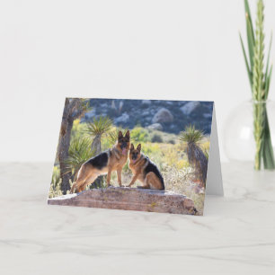 German Shepherds in Red Rock Canyon Greeting card