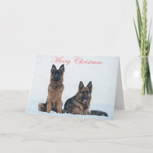 German shepherds in the snow christmas card holiday card