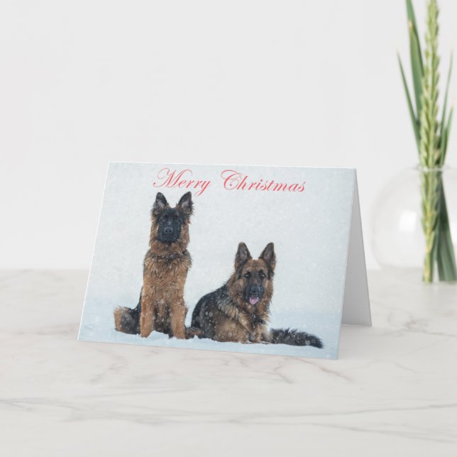 German shepherds in the snow christmas card. holiday card (Front)