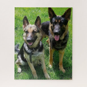 GERMAN SHEPHERD'S MALE AND FEMALE JIGSAW PUZZLE
