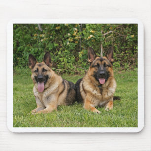 German Shepherds Mouse Pad