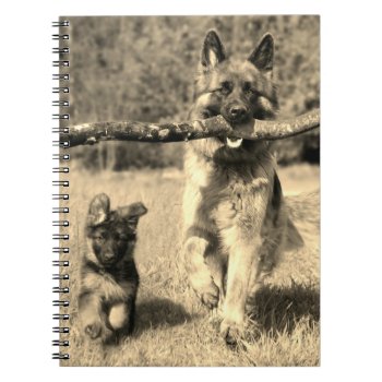German Shepherds Notebook by MarblesPictures at Zazzle