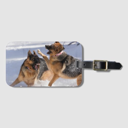 German Shepherds playing in snow luggage tag