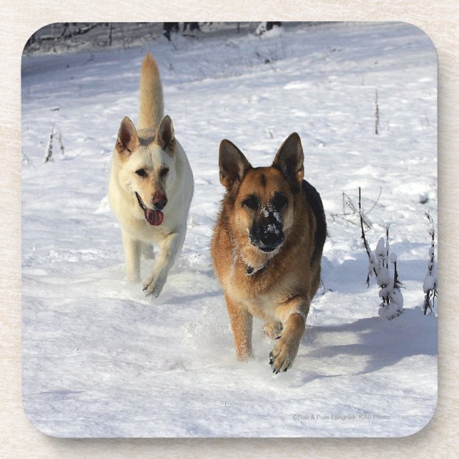 German Shepherds Running in the Snow Beverage Coaster (Front)