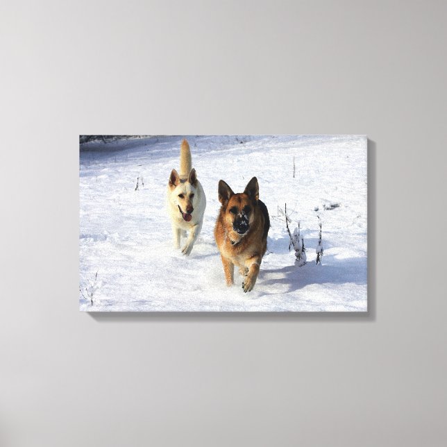 German Shepherds Running in the Snow Canvas Print (Front)