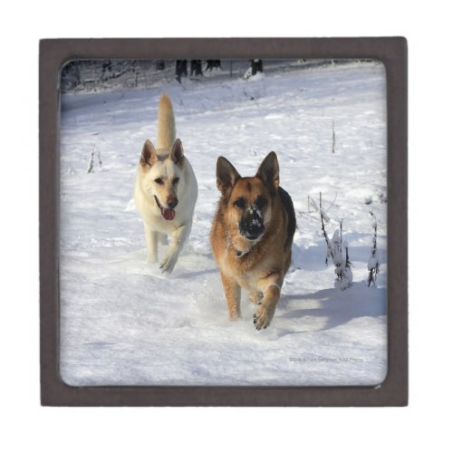 German Shepherds Running in the Snow Jewelry Box