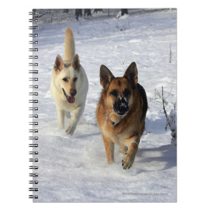 German Shepherds Running in the Snow Notebook