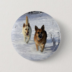 German Shepherds Running in the Snow Pinback Button