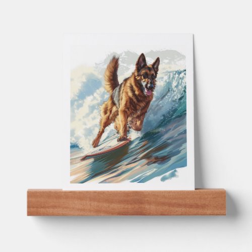 German Shepherds Surfing the Waves Picture Ledge