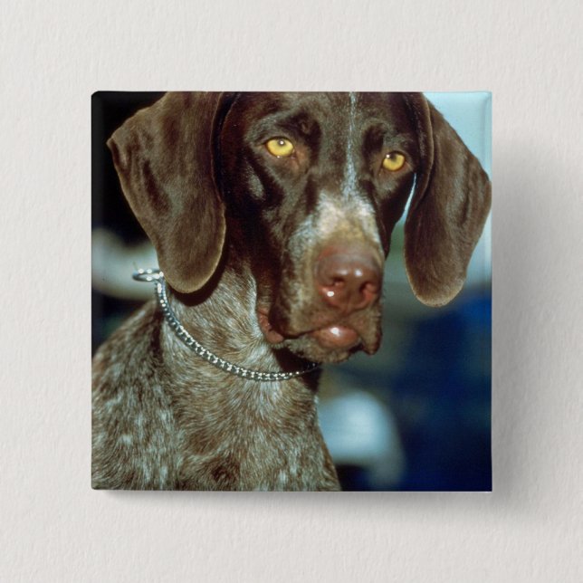 German Short-haired Pointer Button (Front)