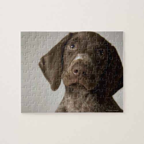 German Short_Haired Pointer puppy Jigsaw Puzzle