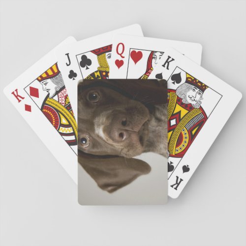 German Short_Haired Pointer puppy Poker Cards