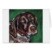 German Shorthair Pointer (Front Horizontal)