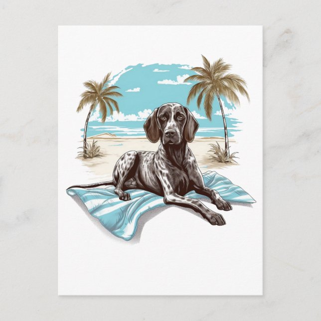 German shorthair pointer at the beach postcard (Front)