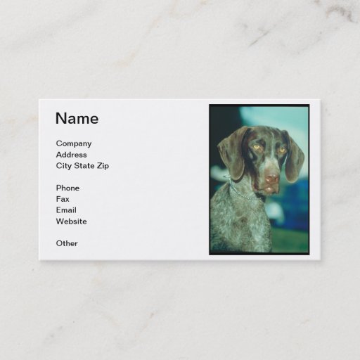 Customizable German Shorthair Pointer Business Card