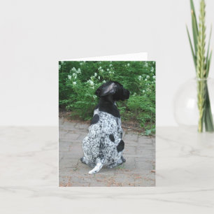 German Shorthair Pointer Puppy Card