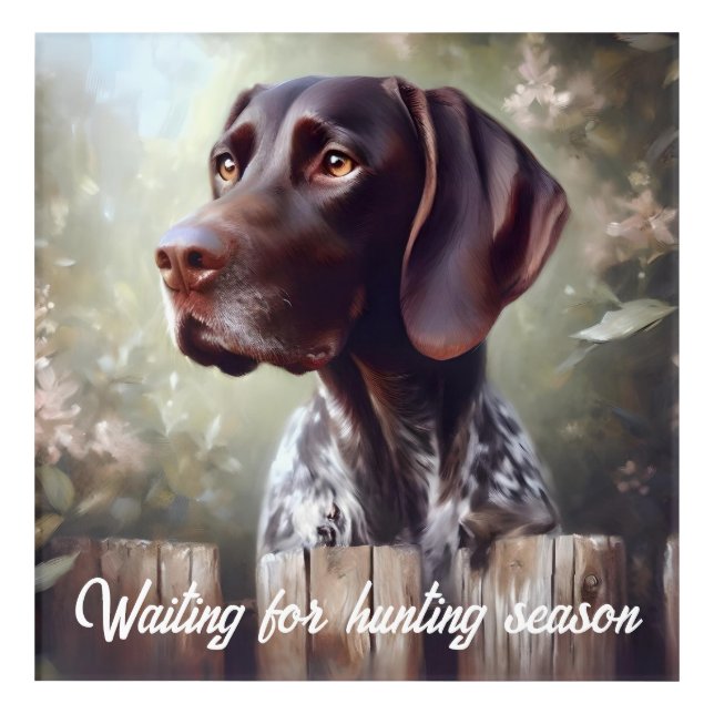 German Shorthair Pointer Waiting Acrylic Print (Front)