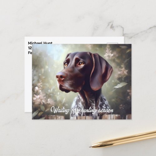 German Shorthair Pointer Waiting Postcard