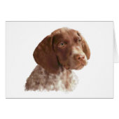 German Shorthair Puppy (Front Horizontal)