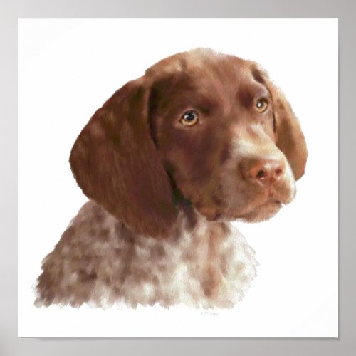 German Shorthair Puppy Poster