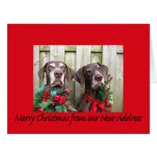 German Shorthaired Merry Christmas New Address Cards