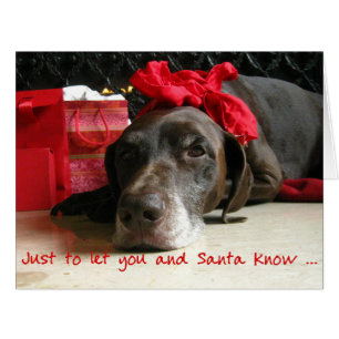 German Shorthaired Merry Christmas New Address Cards