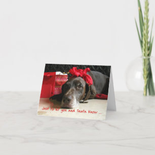 German Shorthaired Merry Christmas  New Address Holiday Card