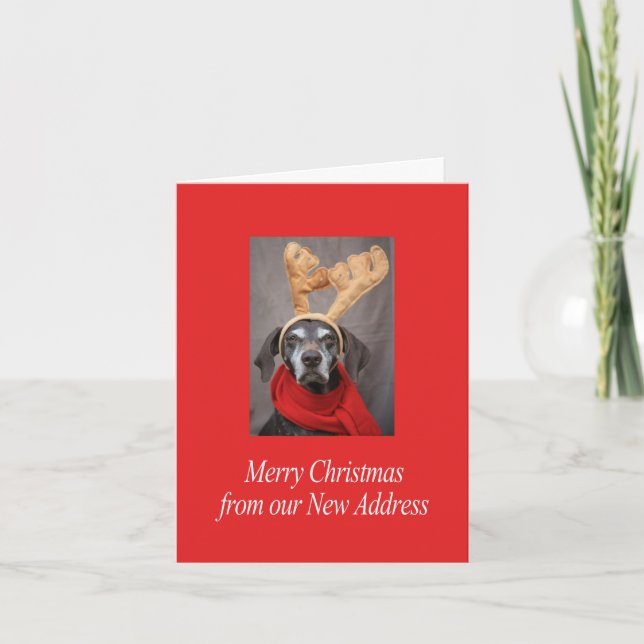 German Shorthaired Merry Christmas  New Address Holiday Card (Front)