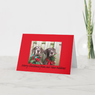 German Shorthaired Merry Christmas New Address Holiday Card