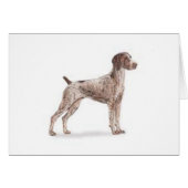 German Shorthaired Pointer (Front Horizontal)