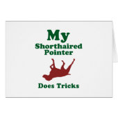 German Shorthaired Pointer (Front Horizontal)