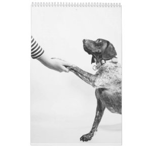 German Shorthaired Pointer 2024 Calendar GSP Dog