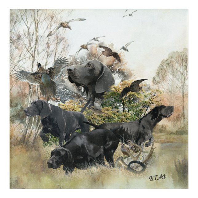 German Shorthaired pointer   Acrylic Print (Front)