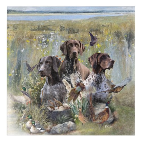 German Shorthaired Pointer  Acrylic Print