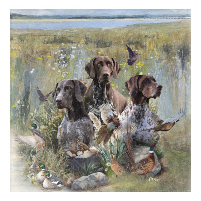 German Shorthaired Pointer  Acrylic Print (Front)