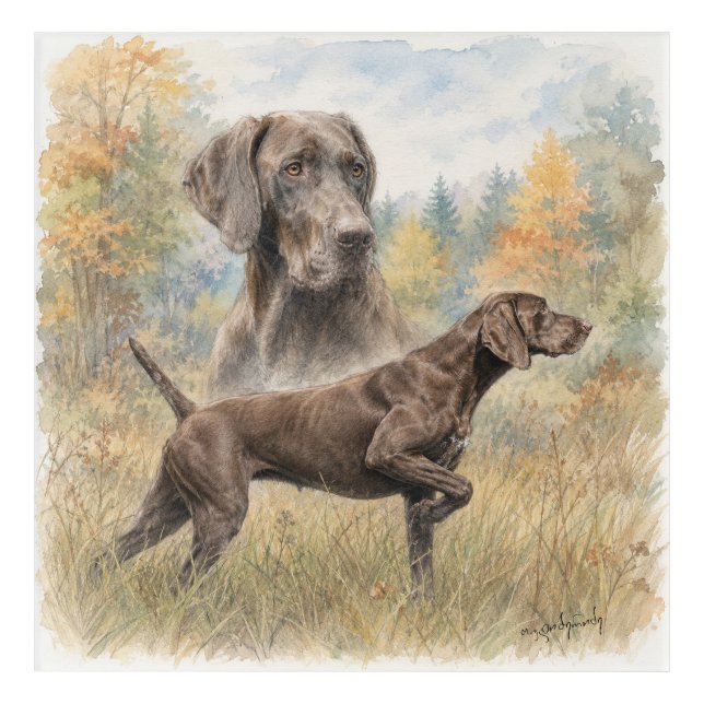 German Shorthaired Pointer  Acrylic Print (Front)