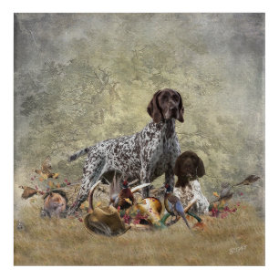 German Shorthaired Pointer Acrylic Print