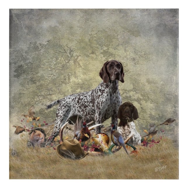 German Shorthaired Pointer  Acrylic Print (Front)
