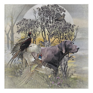 German Shorthaired Pointer Acrylic Print