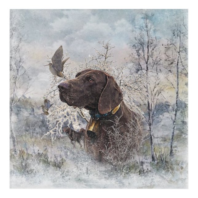 German Shorthaired Pointer Acrylic Print (Front)