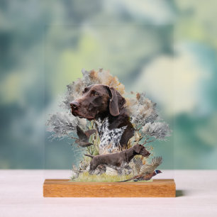 German Shorthaired Pointer Acrylic Sign