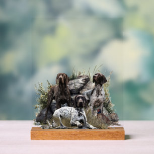 German Shorthaired Pointer     Acrylic Sign